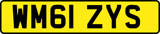 WM61ZYS