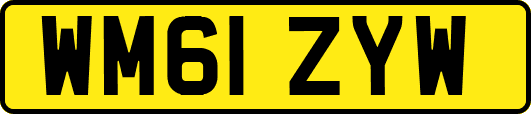 WM61ZYW