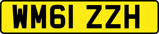 WM61ZZH