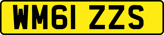 WM61ZZS