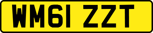 WM61ZZT