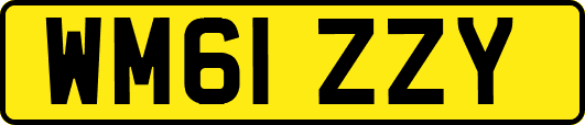 WM61ZZY