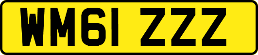 WM61ZZZ