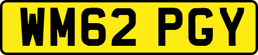 WM62PGY