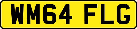 WM64FLG