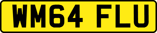 WM64FLU