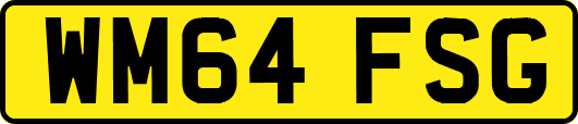 WM64FSG
