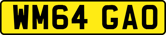 WM64GAO