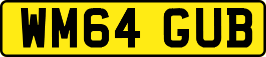 WM64GUB