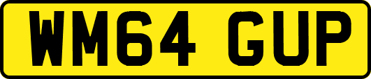 WM64GUP