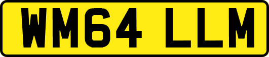 WM64LLM