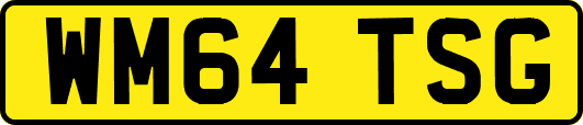 WM64TSG