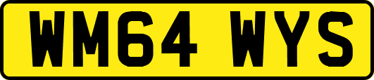 WM64WYS