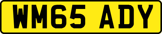 WM65ADY