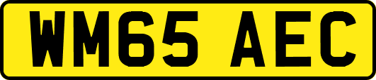 WM65AEC