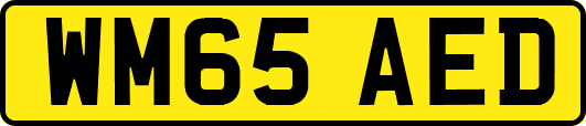 WM65AED