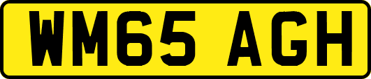 WM65AGH