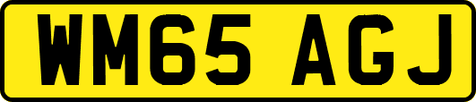 WM65AGJ