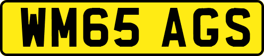WM65AGS