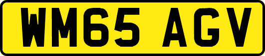 WM65AGV
