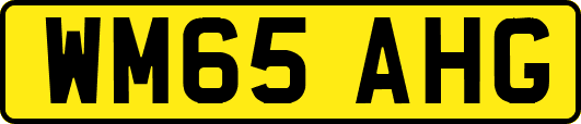 WM65AHG