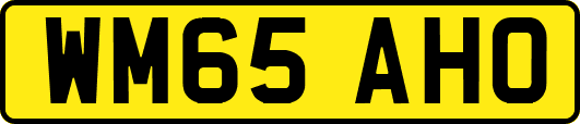 WM65AHO