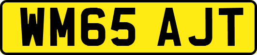 WM65AJT