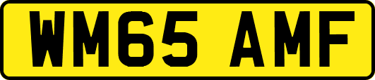 WM65AMF