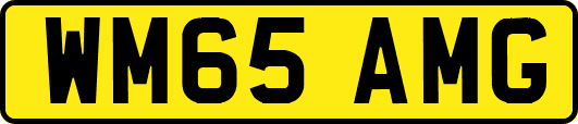 WM65AMG