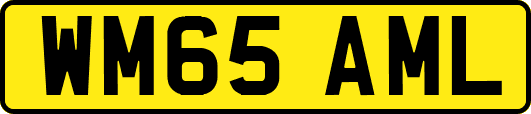 WM65AML