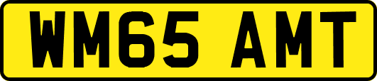WM65AMT