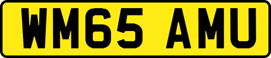 WM65AMU