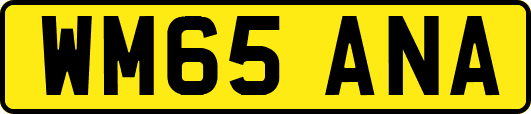 WM65ANA