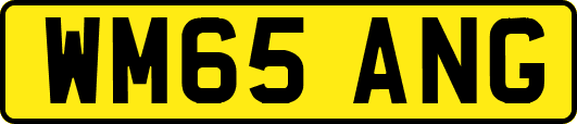 WM65ANG