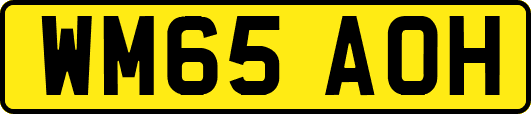 WM65AOH