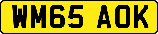 WM65AOK