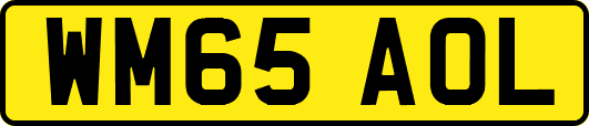 WM65AOL