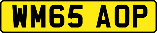 WM65AOP