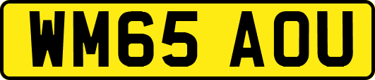 WM65AOU