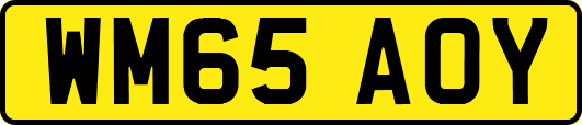 WM65AOY