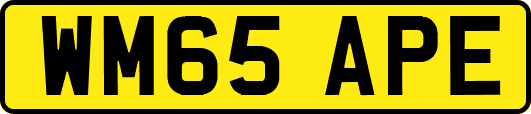 WM65APE