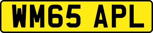 WM65APL