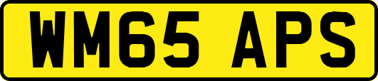 WM65APS