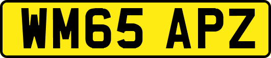 WM65APZ