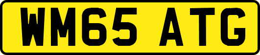 WM65ATG