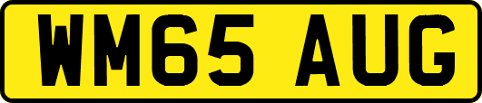 WM65AUG