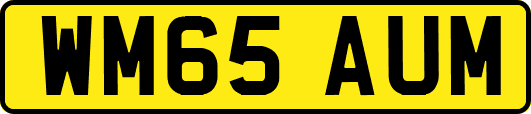 WM65AUM