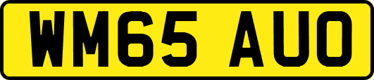 WM65AUO