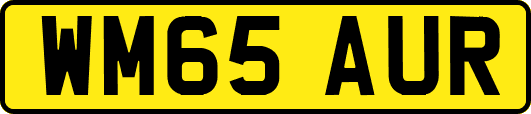 WM65AUR