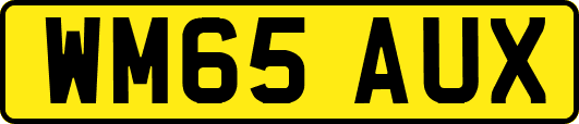 WM65AUX